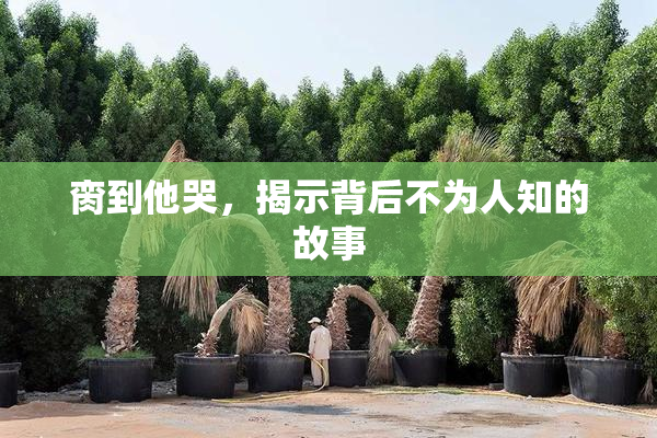 脔到他哭，揭示背后不为人知的故事