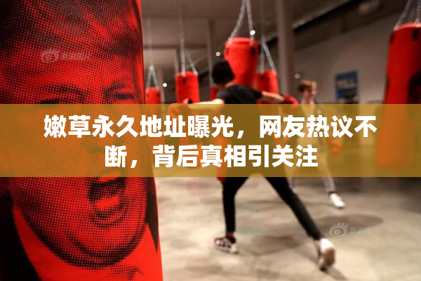 嫩草永久地址曝光，网友热议不断，背后真相引关注