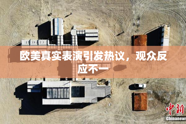 欧美真实表演引发热议，观众反应不一