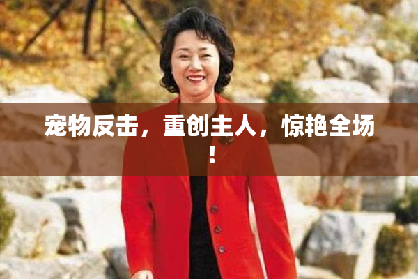 宠物反击，重创主人，惊艳全场！