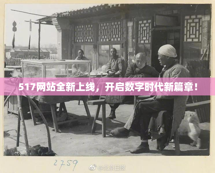 517网站全新上线，开启数字时代新篇章！