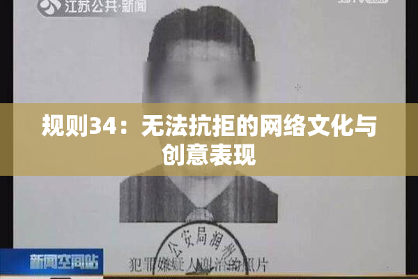规则34：无法抗拒的网络文化与创意表现
