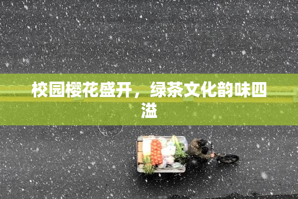 校园樱花盛开，绿茶文化韵味四溢