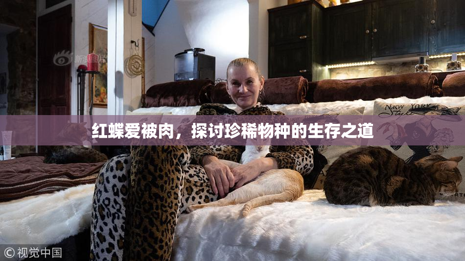 红蝶爱被肉，探讨珍稀物种的生存之道