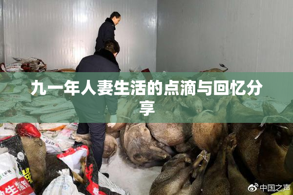 九一年人妻生活的点滴与回忆分享
