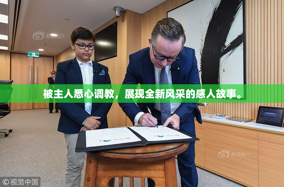 被主人悉心调教，展现全新风采的感人故事。
