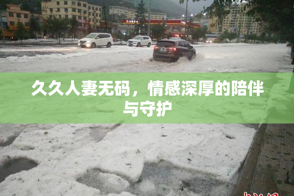 久久人妻无码，情感深厚的陪伴与守护