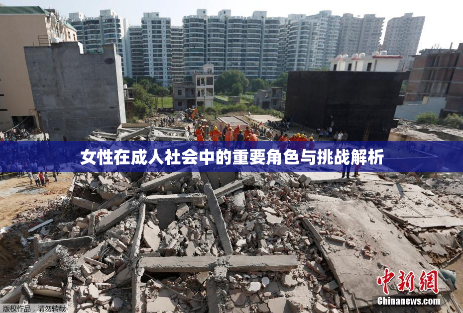 女性在成人社会中的重要角色与挑战解析