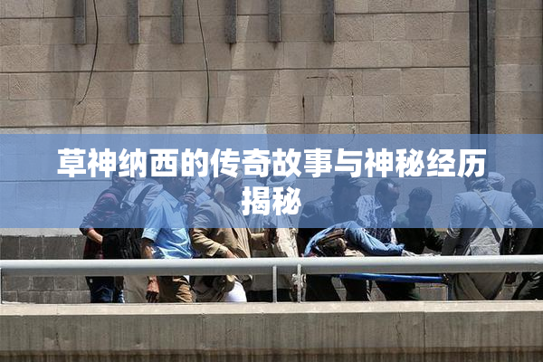 草神纳西的传奇故事与神秘经历揭秘