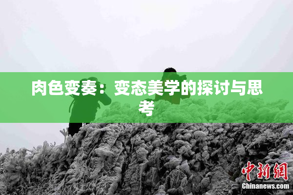 肉色变奏：变态美学的探讨与思考