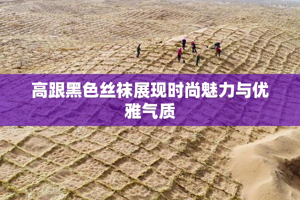 高跟黑色丝袜展现时尚魅力与优雅气质
