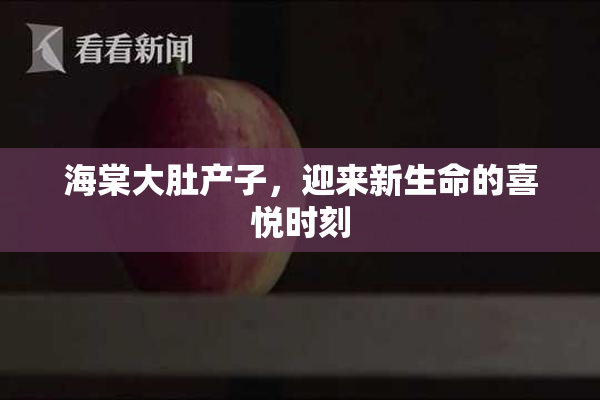 海棠大肚产子，迎来新生命的喜悦时刻
