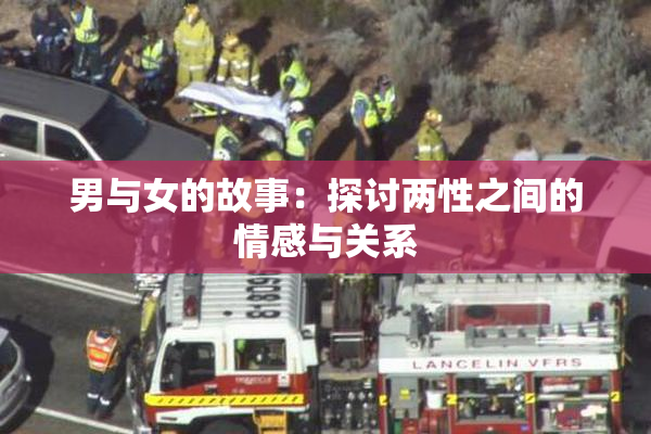 男与女的故事：探讨两性之间的情感与关系