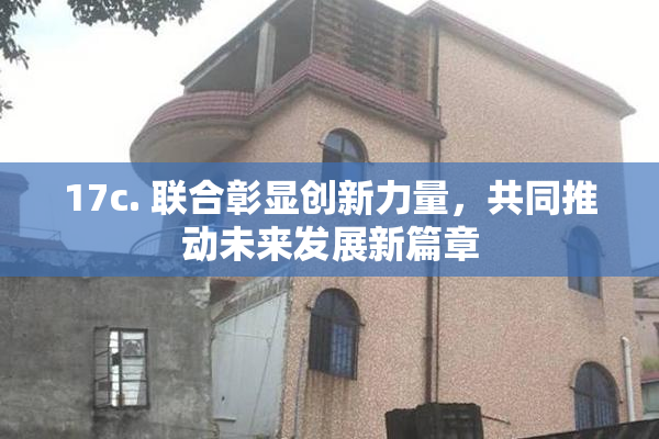 17c. 联合彰显创新力量，共同推动未来发展新篇章
