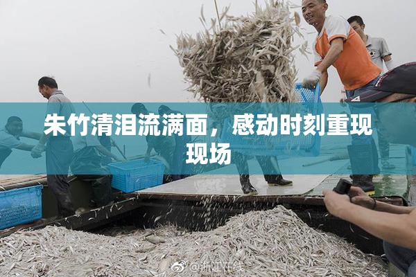 朱竹清泪流满面，感动时刻重现现场