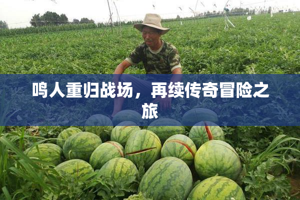 鸣人重归战场，再续传奇冒险之旅