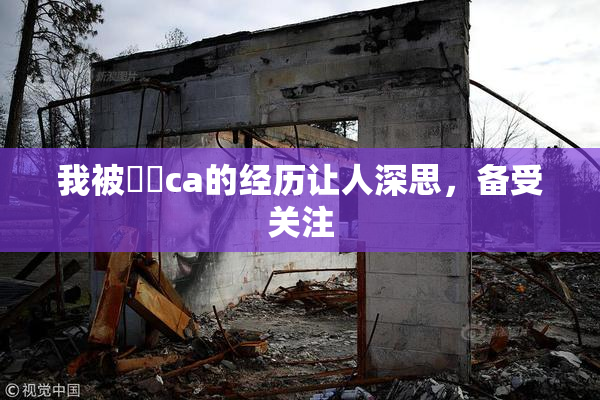 我被妺妺ca的经历让人深思，备受关注