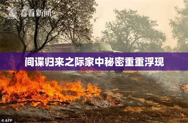 间谍归来之际家中秘密重重浮现