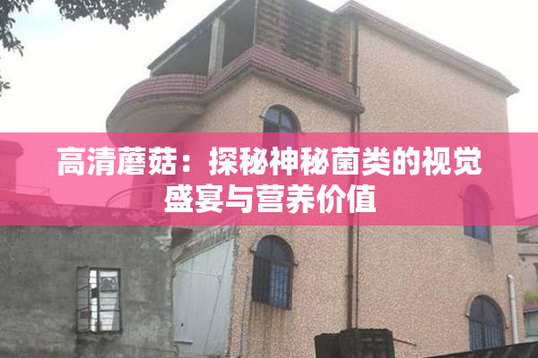 高清蘑菇：探秘神秘菌类的视觉盛宴与营养价值