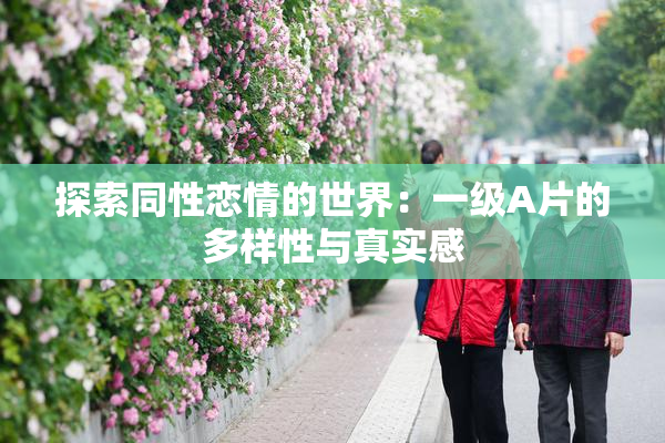 探索同性恋情的世界：一级A片的多样性与真实感