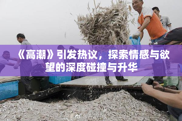 《高潮》引发热议，探索情感与欲望的深度碰撞与升华