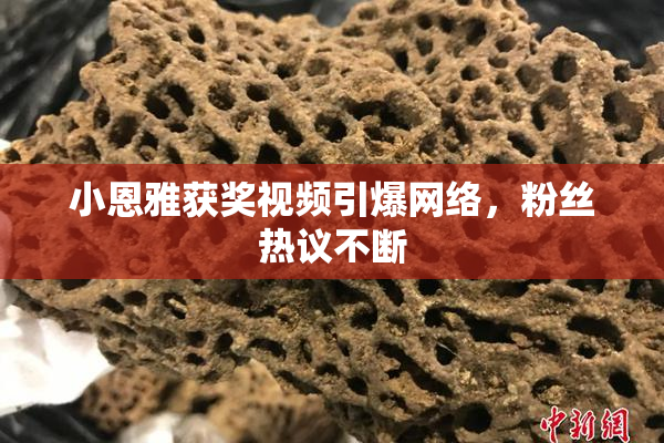 小恩雅获奖视频引爆网络，粉丝热议不断