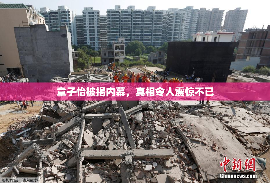章子怡被揭内幕，真相令人震惊不已