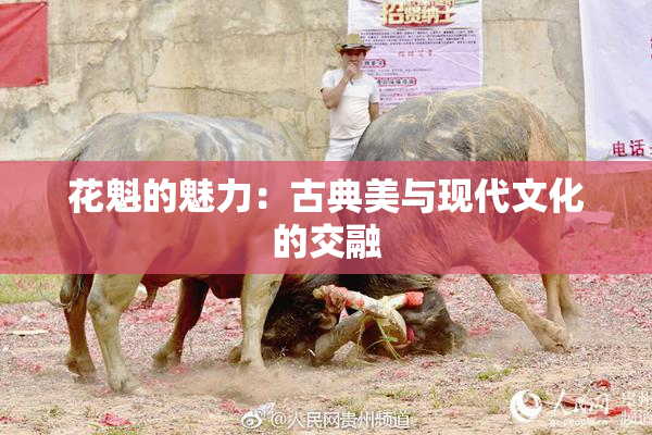 花魁的魅力：古典美与现代文化的交融