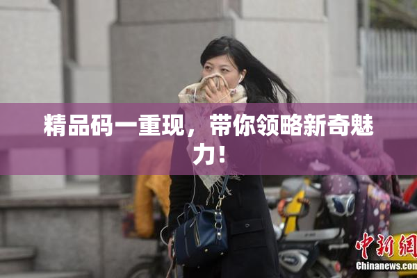 精品码一重现，带你领略新奇魅力！