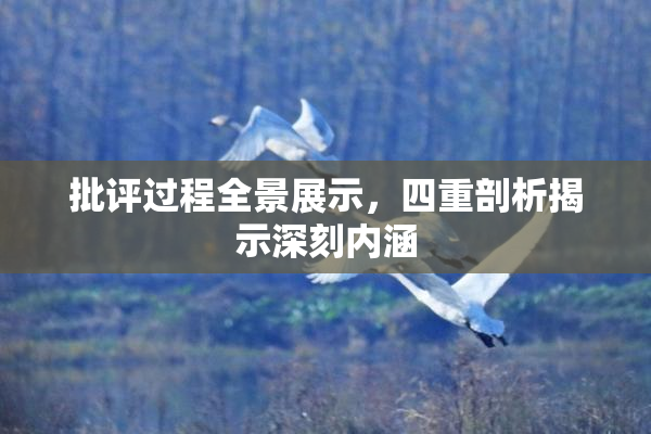 批评过程全景展示，四重剖析揭示深刻内涵