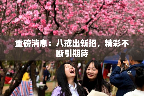 重磅消息：八戒出新招，精彩不断引期待