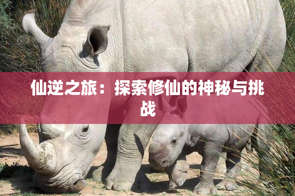 仙逆之旅：探索修仙的神秘与挑战