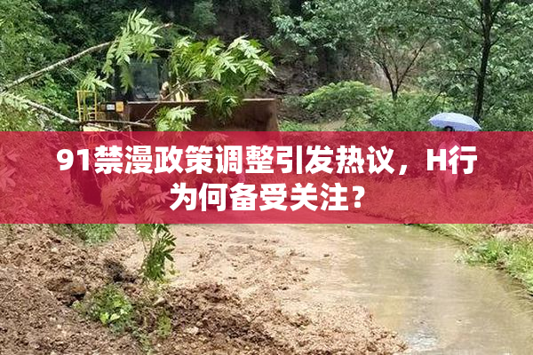 91禁漫政策调整引发热议，H行为何备受关注？