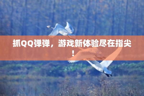 抓QQ弹弹，游戏新体验尽在指尖！