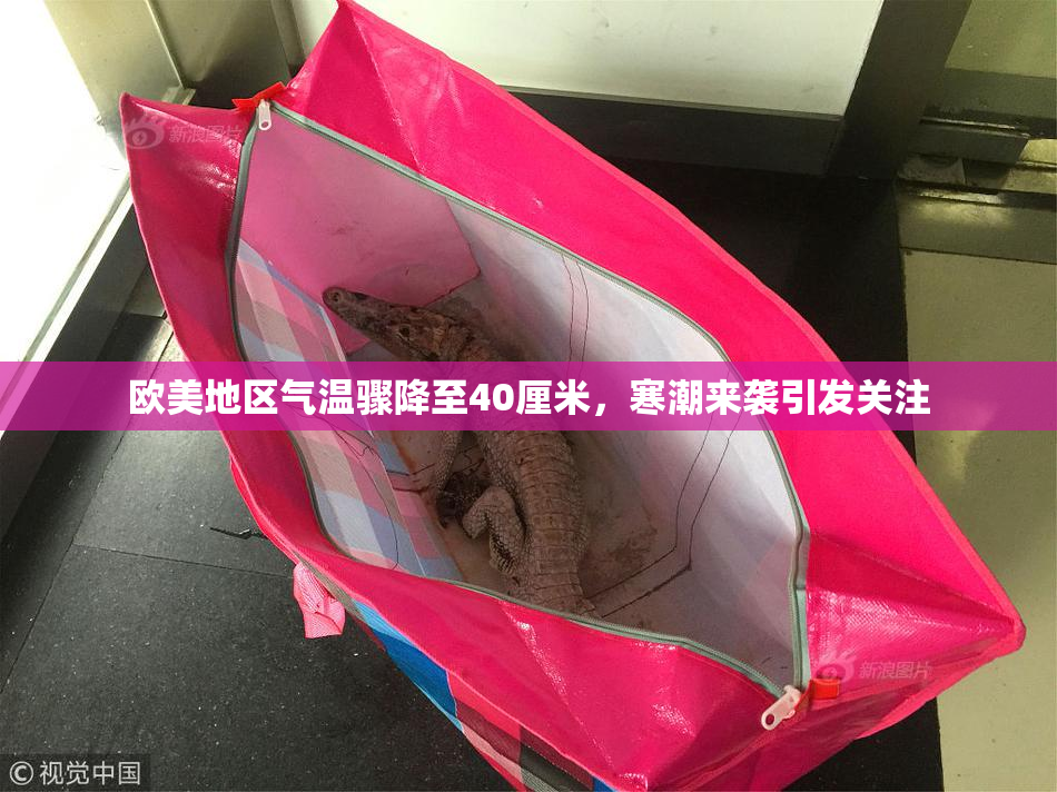 欧美地区气温骤降至40厘米，寒潮来袭引发关注