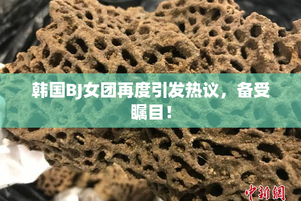 韩国BJ女团再度引发热议，备受瞩目！