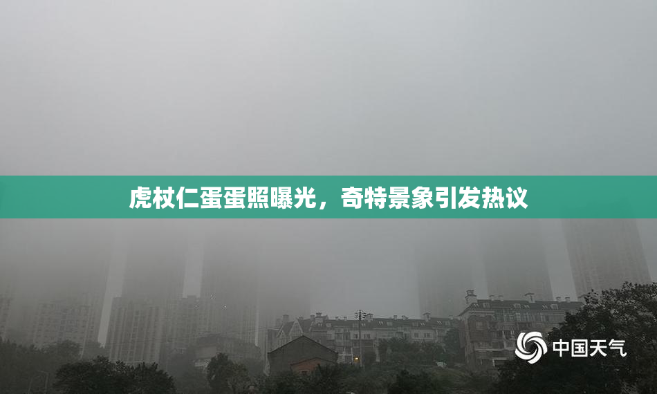 虎杖仁蛋蛋照曝光，奇特景象引发热议