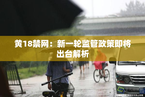 黄18禁网：新一轮监管政策即将出台解析