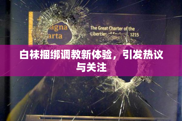 白袜捆绑调教新体验，引发热议与关注