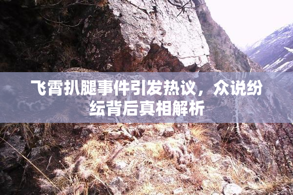 飞霄扒腿事件引发热议，众说纷纭背后真相解析