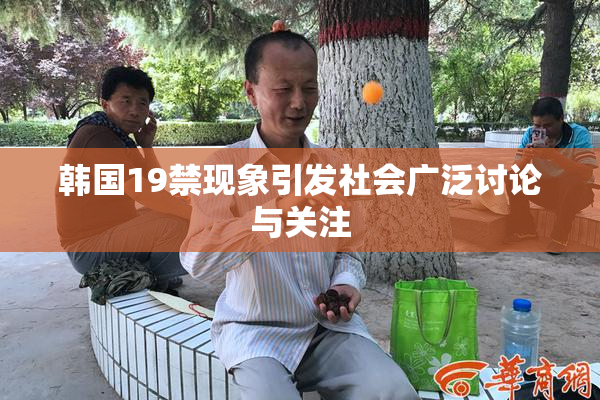 韩国19禁现象引发社会广泛讨论与关注