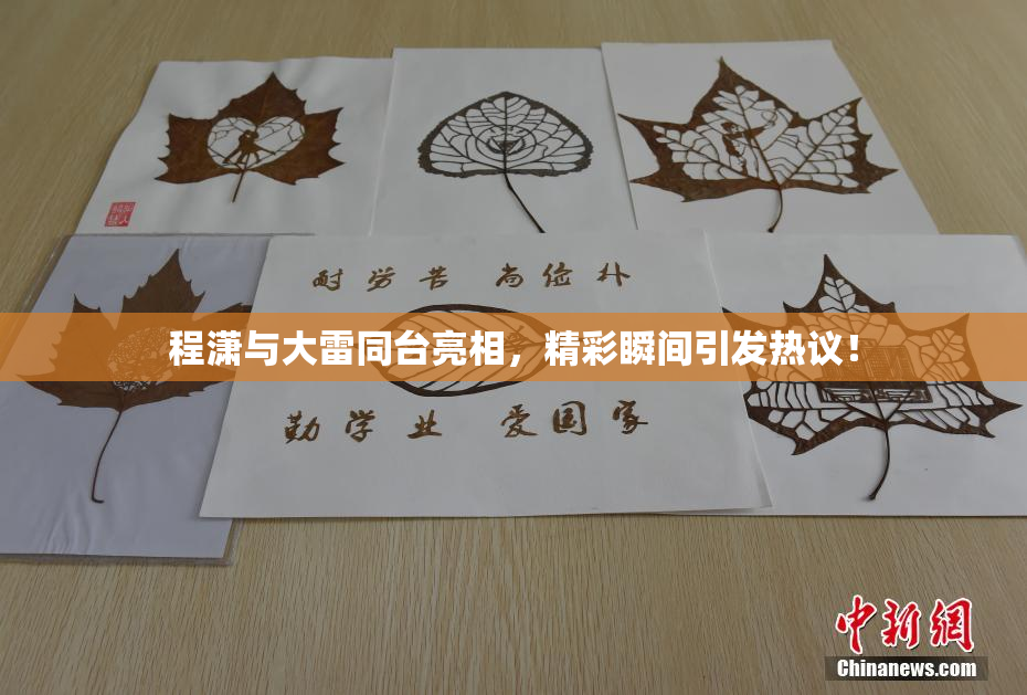 程潇与大雷同台亮相，精彩瞬间引发热议！