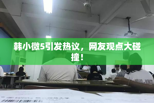 韩小微5引发热议，网友观点大碰撞！