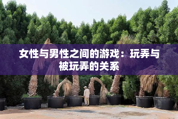 女性与男性之间的游戏：玩弄与被玩弄的关系