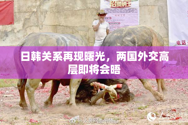 日韩关系再现曙光，两国外交高层即将会晤