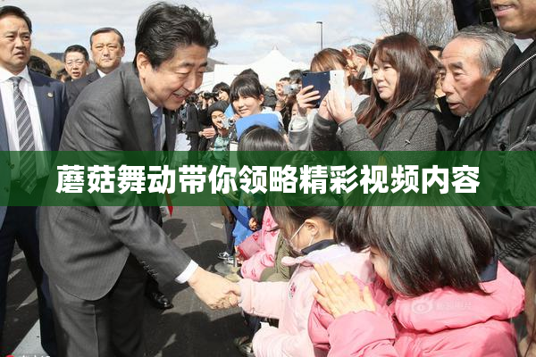 蘑菇舞动带你领略精彩视频内容