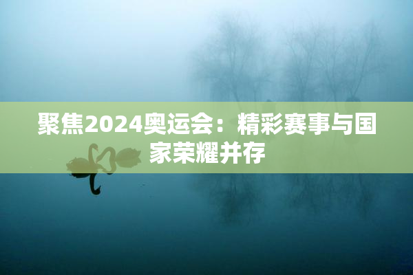 聚焦2024奥运会：精彩赛事与国家荣耀并存