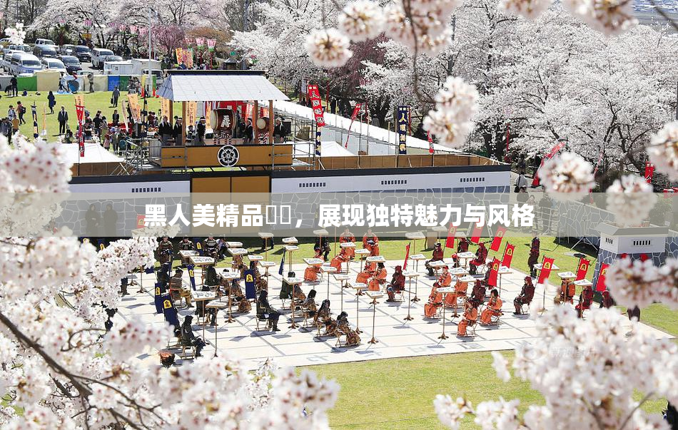 黑人美精品❌‌，展现独特魅力与风格