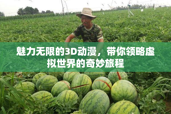魅力无限的3D动漫，带你领略虚拟世界的奇妙旅程
