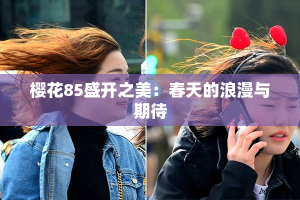 樱花85盛开之美：春天的浪漫与期待